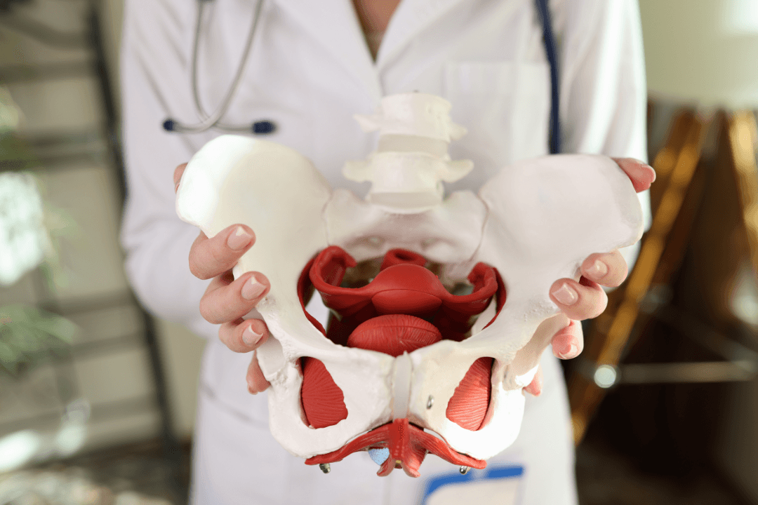 Diagnosis and treatment of pelvic infections