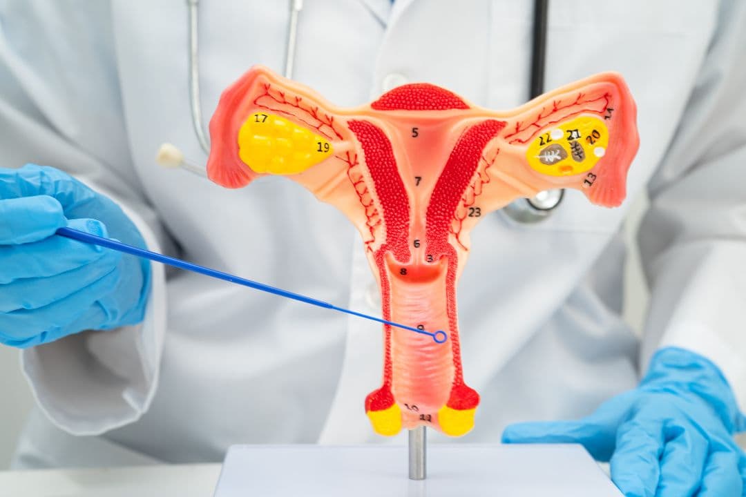 Vaginal tightening procedure consultation