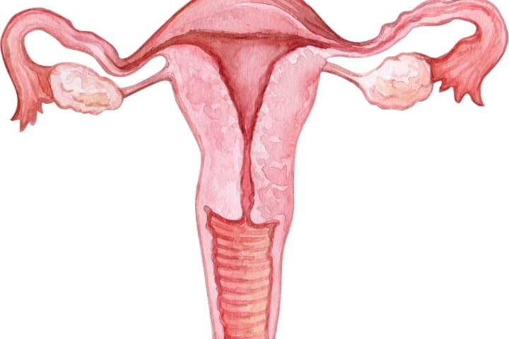 Vaginoplasty procedure consultation